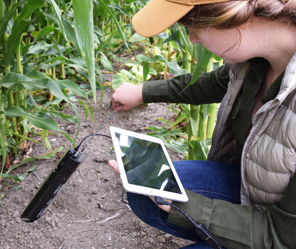 Minirhizotron in use