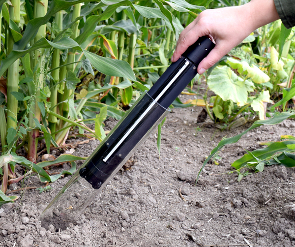 Minirhizotron with corn