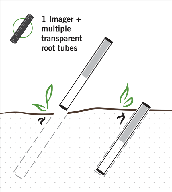 Using minirhizotrons